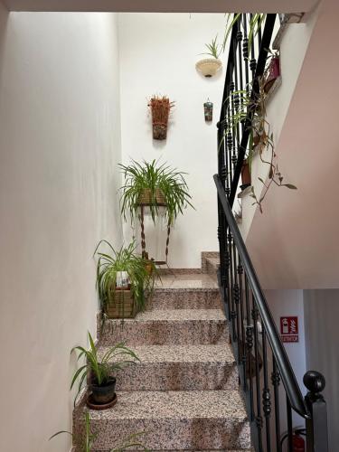 Iekārtas, APARTAMENTOS MATEO in Rillo de Gallo