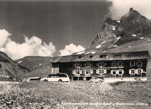 Hotel Adler - main image