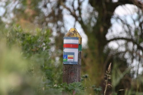 Les Cottages du Bassin d'Arcachon - image 10