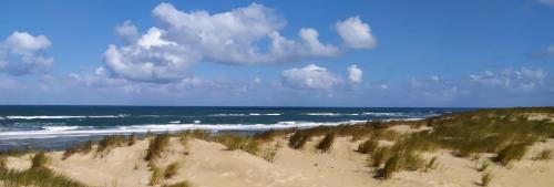 Les Cottages du Bassin d'Arcachon - image 5