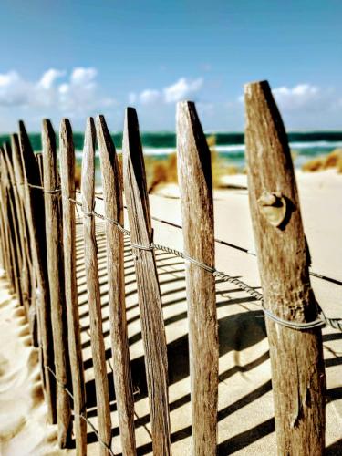 Les Cottages du Bassin d'Arcachon - image 12