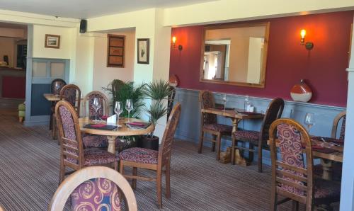 Y Branwen - adult only and dog friendly