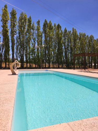 Peldbaseins, Tupungato entre viñas, valle de Uco (Tupungato entre vinas, valle de Uco) in San Hose