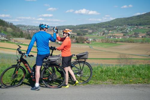 GASTHOF SCHEER Feriendomizil