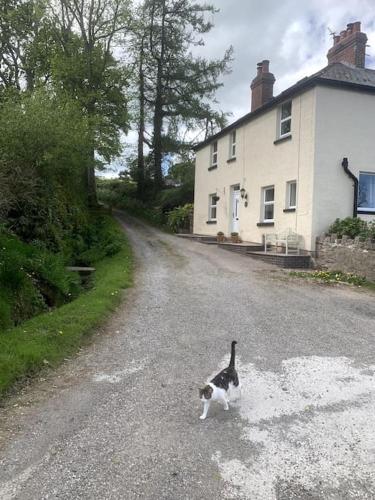 Cosy Two Bedroom Cottage with Fireplace