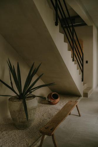 TOHO VILLA 4BED WITH POOL & JACUZZI in Tulum, Mexico