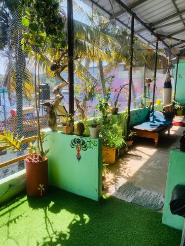 Mountain View Homestay in 帖卡迪