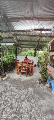 Mindoxtrem Birds in Mindo