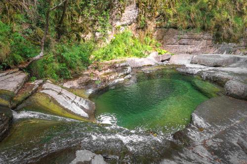 Camping 3* Les Templiers