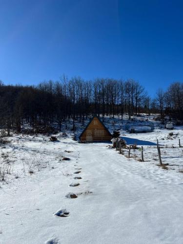 Forest rest, Plužine (foto 10)