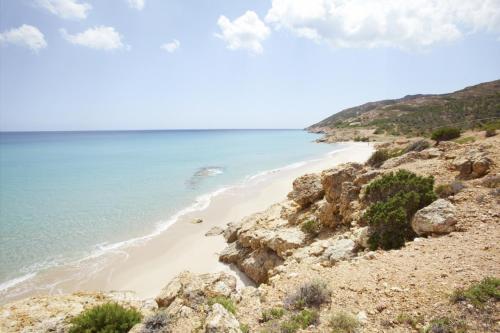 Pinus Village Appartamento - image 11