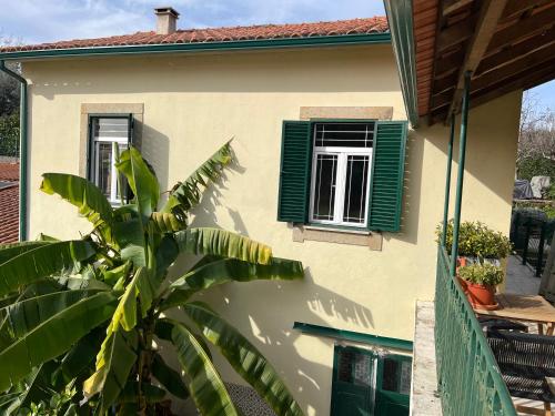 Manor Meeder gîte à louer Sarzedas de São Pedro