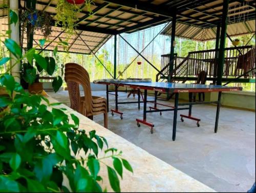 Greens Vista Wayanad - Premium Homestay Near Natural Stream