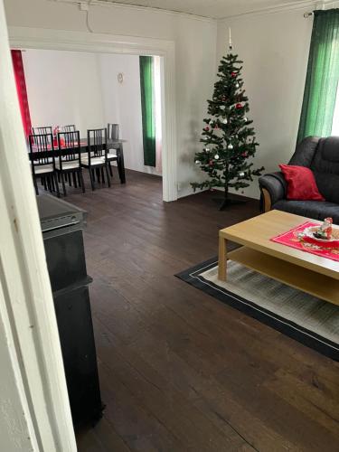 Vacker villa i Fröseke