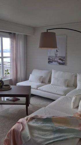 Narvik Mountain Homes Spectacular View House Narvik Mountain Homes Spectacular View House