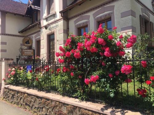 Gite familial 6 personnes in Kintzheim