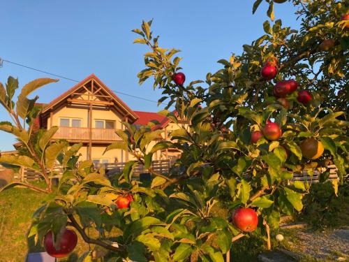  Fugger Alm, Weichselbaum bei Edlitz im Burgenland