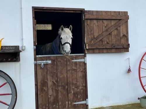 Toddys Cottage & Stables