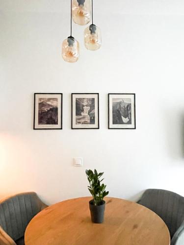 Apartament Śnieżne Kotły Ostoja Parku Narodowego, Szklarska Poręba (foto 8)