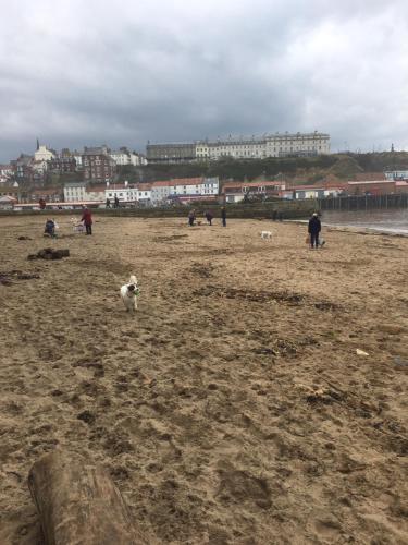Harbour Penthouse Whitby Harbour Penthouse Whitby