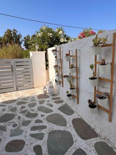 Marioly Studios, Parikia (fotografie 8)
