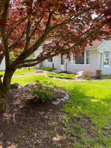 Abeni Cottage - Quaint Cottage with Peloton & Sauna near Hiking in Mount Tremper, USA
