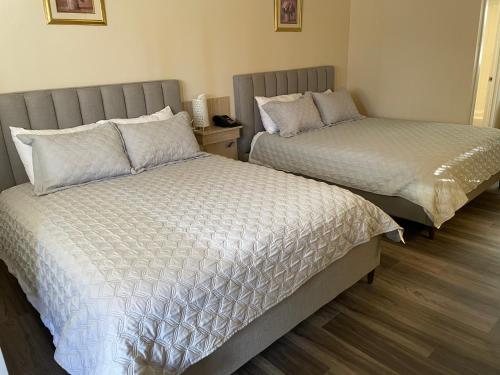 The 22 Hotel in Cremona (AB)