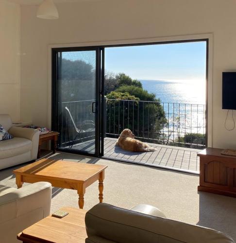 Beachside Units Pambula Beach Dog friendly