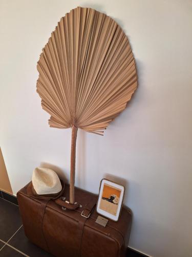 Villa_palms_mimizan_plage jolie villa 12 personnes, piscine chauffée et plage à pied Villa_palms_mimizan_plage jolie villa 12 personnes, piscine chauffée et plage à pied