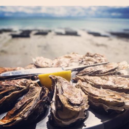 Villa_palms_mimizan_plage jolie villa 12 personnes, piscine chauffée et plage à pied Villa_palms_mimizan_plage jolie villa 12 personnes, piscine chauffée et plage à pied