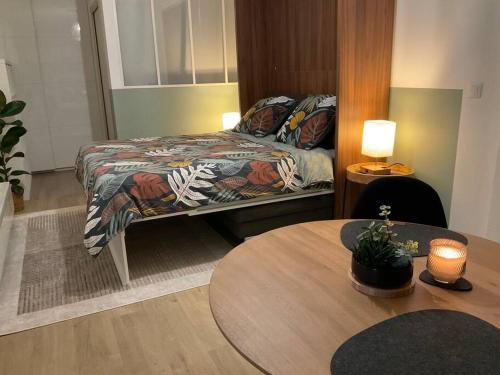 Elegant studio tout confort vue Mont blanc in Saint-Jeoire