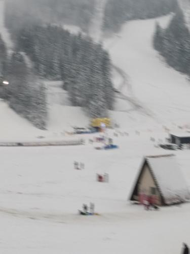 Apartman Edi Apartman Edi