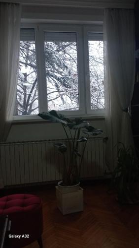 Apartment Milan, Skopje (fotografie 4)