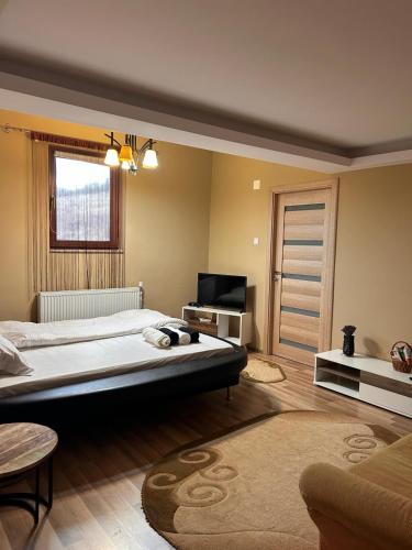 Colț de rai - camera de inchiriat - Accommodation - Reşiţa