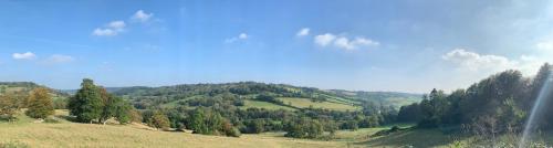 Midford Castle Sport and Wellness Resort, Bath (foto 11)