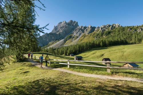 Hotel Dolomitenhof - image 3