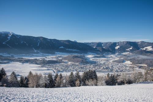 Hotel Dolomitenhof - image 6
