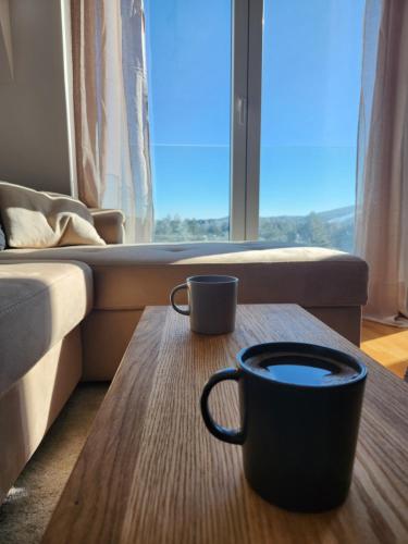 PoinT - Apartment - Divcibare