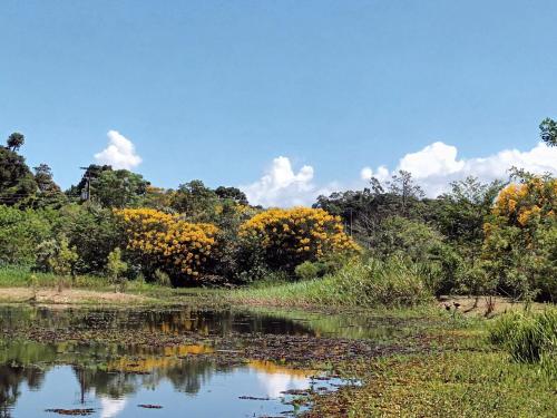 Chalé Maravilha & Lago na Serra Gaúcha