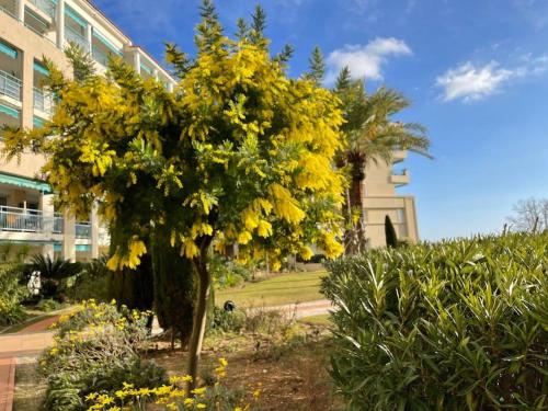 Appartement vue mer/piscine-Les pins bleus
