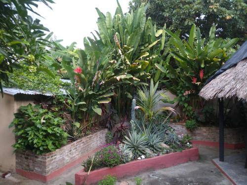 Casa Guachaca - Furnished Garden apartment