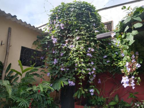 Casa Guachaca - Furnished Garden apartment