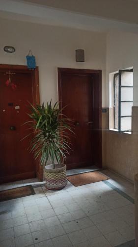Dokki I Madina Apt I 2min to Nile - image 14