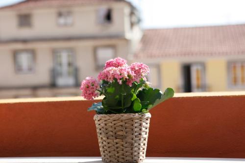 Flores Guest House