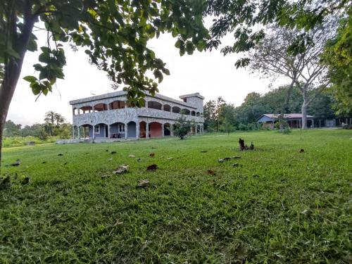 酒店外观, REFUGE du MONT AGOU in 帕利梅