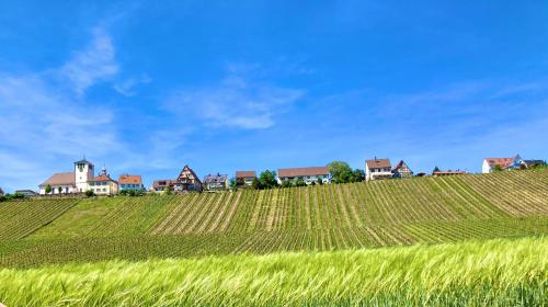 Naturnahe und perfekt angebundene Altbauwohnung Weinort Hohenhaslach - Apartment - Sachsenheim