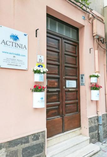 Actinia Accommodation - image 9