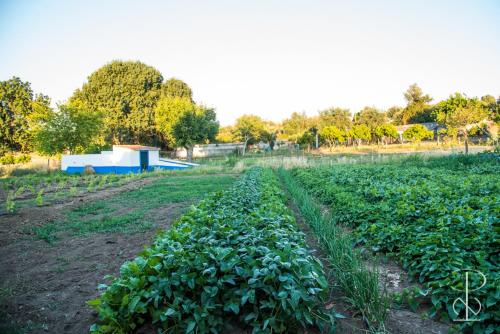 Quinta do Poço Novo