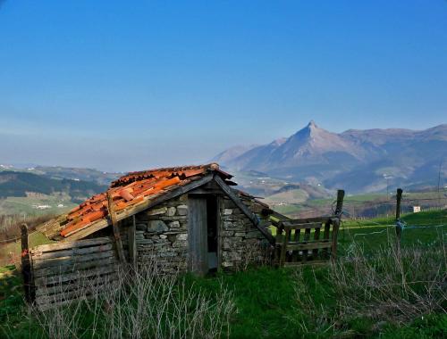 Casa Rural Etxaluze