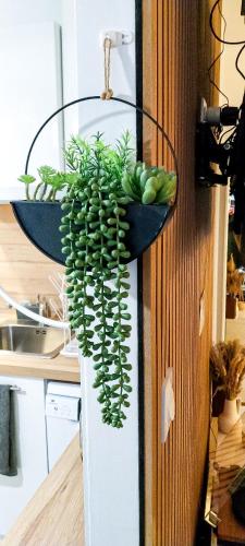 บริการและสิ่งอำนวยความสะดวก, Escapade au cœur de Luce chartres in ลูเซอ